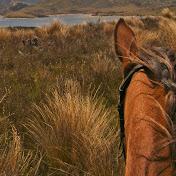 Profile Picture of Marianne Wright (@mariannewright4802) on Youtube