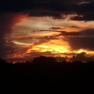 Profile Picture of Charles Proto (Maximus) (@maximus.proto.1) on Facebook