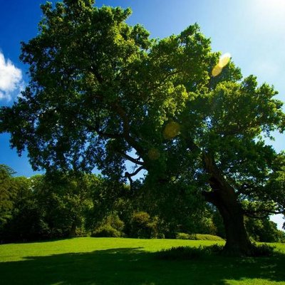 Profile Picture of Glen C. Whiteside (@BagglesAnnie) on Twitter