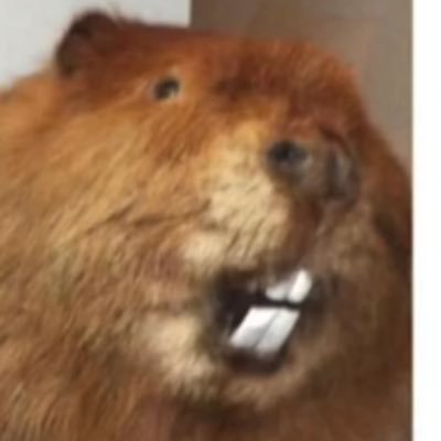 Beefy_Chicken - Twitter Profile Picture of Beefy_Chicken (@KevinNgov) on Twitter