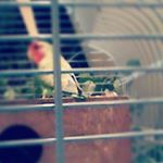 Profile Picture of βλασσης (@philipralph03) on Instagram