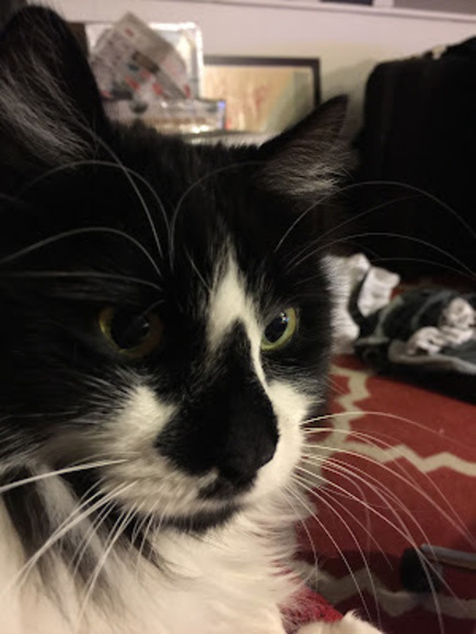 Profile Picture of D Osada (@djspill) on Poshmark