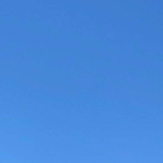 Profile Picture of Sophie (@@aprildaydream) on Tiktok