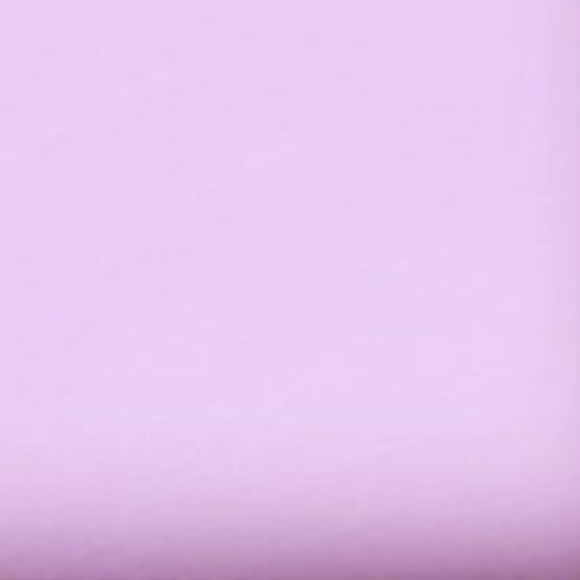 Profile Picture of Alissa Suzor (@alissaloz24) on Poshmark