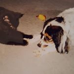 Profile Picture of Jeff Schermerhorn (@jeff.schermerhorn.56) on Instagram