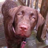 Profile Picture of Tori Lyons (@tori-lyons-5) on Quora