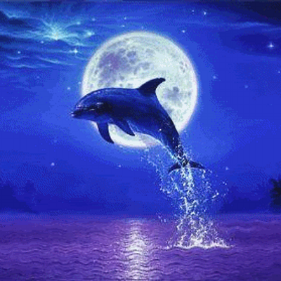 Profile Picture of Norma Alvarado (@normaalvarado16) on Twitter