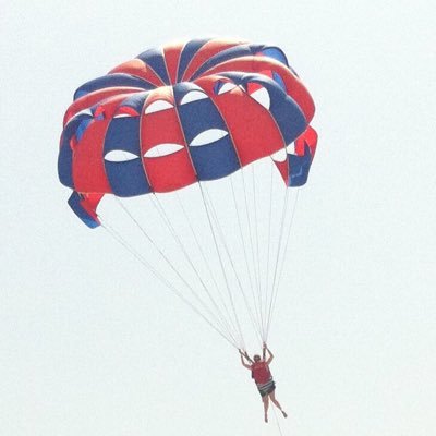 Profile Picture of Frances Wade (@fmwade) on Twitter