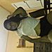Profile Picture of Luz Estrella (@luz.estrella.35325074) on Facebook