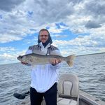 Profile Picture of Tom Lindstrom (@linddaddy) on Instagram