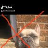 Profile Picture of Blu (@@williamcope8) on Tiktok