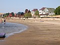 Profile Picture of Laishevsky Districton Wikipedia