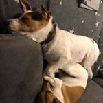 Profile Picture of Daniela Weißgerber (@weissgerberdaniela) on Instagram