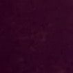 Profile Picture of Aaron Hone (@@aaronhone16) on Tiktok