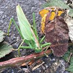 Profile Picture of Christopher Nagel (@christopher.nagel.566) on Instagram