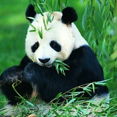 Profile Picture of Krunal Patel (@Kruna1_Pate1) on Twitter