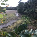 Profile Picture of George combs (@combstwinhunter) on Instagram