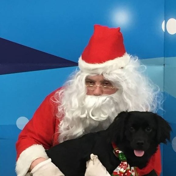 Profile Picture of Eileen Coombs (@mairead11) on Poshmark