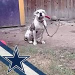 Cedric Lottie G Williams - Instagram Profile Picture of Cedric Lottie G Williams (@cedric.l.williams.9) on Instagram