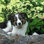 Sheryl - Instagram Profile Picture of Sheryl (@sheryl_larson5) on Instagram