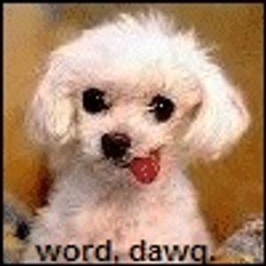 David Krajcar - Myspace Profile Picture of David Krajcar (@david4tegan) on Myspace