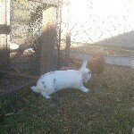 Profile Picture of Michael (@michaelpallante1967) on Instagram