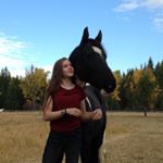 Profile Picture of Erica Marker (@painted_equestrian12) on Instagram