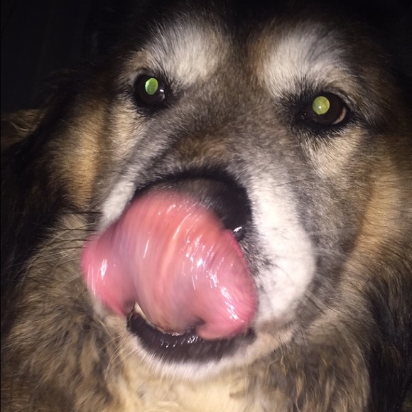 Profile Picture of Kiersten Kemmett (@kierstenk1) on Poshmark