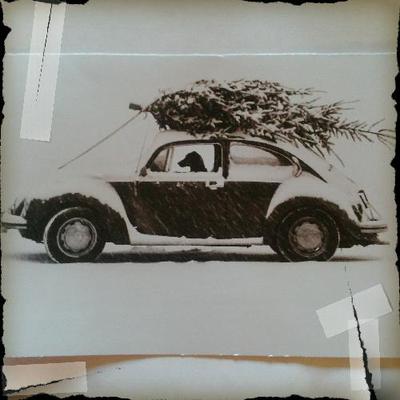 Profile Picture of Tracy Lamoureux (@tracylamoureux) on Twitter