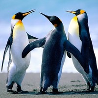 Profile Picture of Aaron Plunkett (@aaron-plunkett-12) on Quora