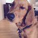 Profile Picture of Avery Lord (@averylord) on Pinterest