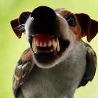 Profile Picture of Kim Ruth (@kim-ruth-4) on Quora