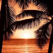 Shir Rosenblum Man - Youtube Profile Picture of Shir Rosenblum Man (@spookysongy) on Youtube