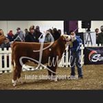 Profile Picture of Jared Frantz (@jared_frantz_19) on Instagram