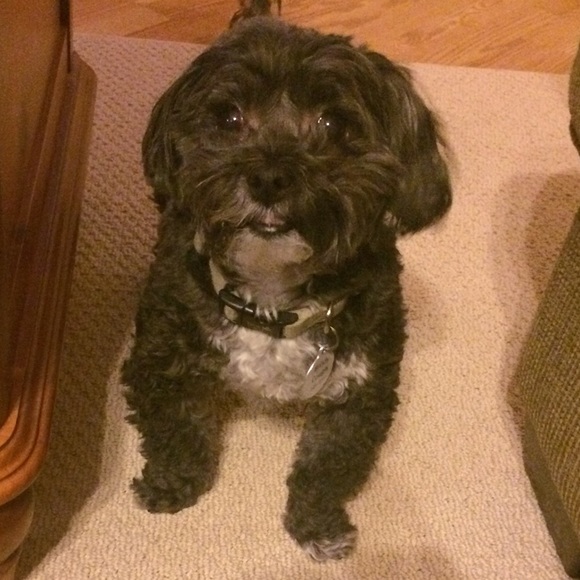 Alexandria Tizzano - Poshmark Profile Picture of Alexandria Tizzano (@atizzano) on Poshmark