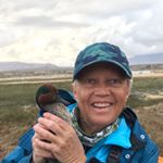 Profile Picture of Kim McNally (@mckim53) on Instagram