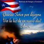 Profile Picture of Luis Arbona (@luisarbona) on Instagram