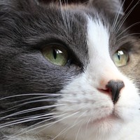 Profile Picture of Brandon Manning (@brandon-manning-25) on Quora