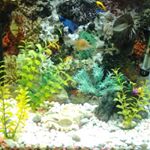 Profile Picture of Luis Noda (@luisnoda5050) on Instagram