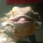 Profile Picture of MAGPESTILENCE (@mccreery.michael) on Instagram