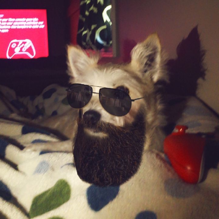 Profile Picture of Randall Brawner (@randall.brawner) on Tiktok