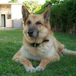 Profile Picture of Vicente Juan Fusaro (@vicentejuanfusaro) on Instagram