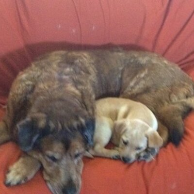 Profile Picture of Dave Wenner (@dwenner3) on Twitter