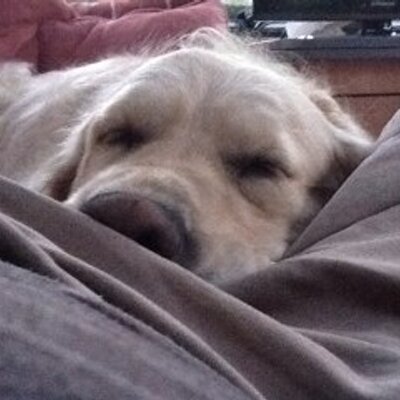 Profile Picture of Steve Peebles (@PeeblesSteve) on Twitter