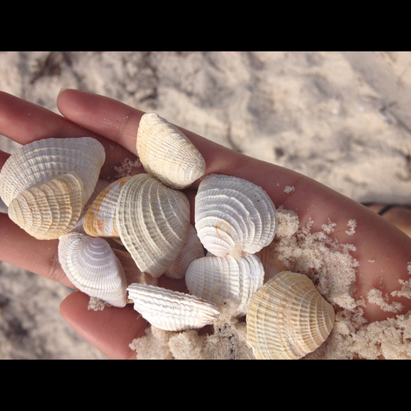 Profile Picture of Ayesha Faisal (@arf) on Poshmark