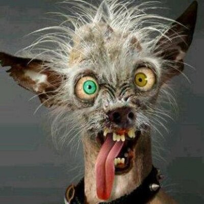 Profile Picture of Bret (@BretWeitzell) on Twitter