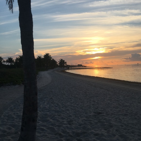 Profile Picture of Chris ann Sievers (@hammhock) on Poshmark