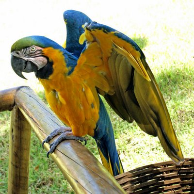 Christopher Arden - Twitter Profile Picture of Christopher Arden (@ChristopherArd3) on Twitter