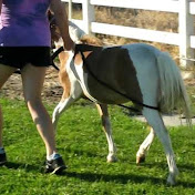 Profile Picture of Charlene Campbell (@Mizkittycat) on Youtube