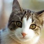 Profile Picture of Marilyn Otto (@ottomarilyn) on Instagram